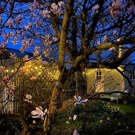 The Wayside Shepherd Hut ボーリュー エクステリア 写真