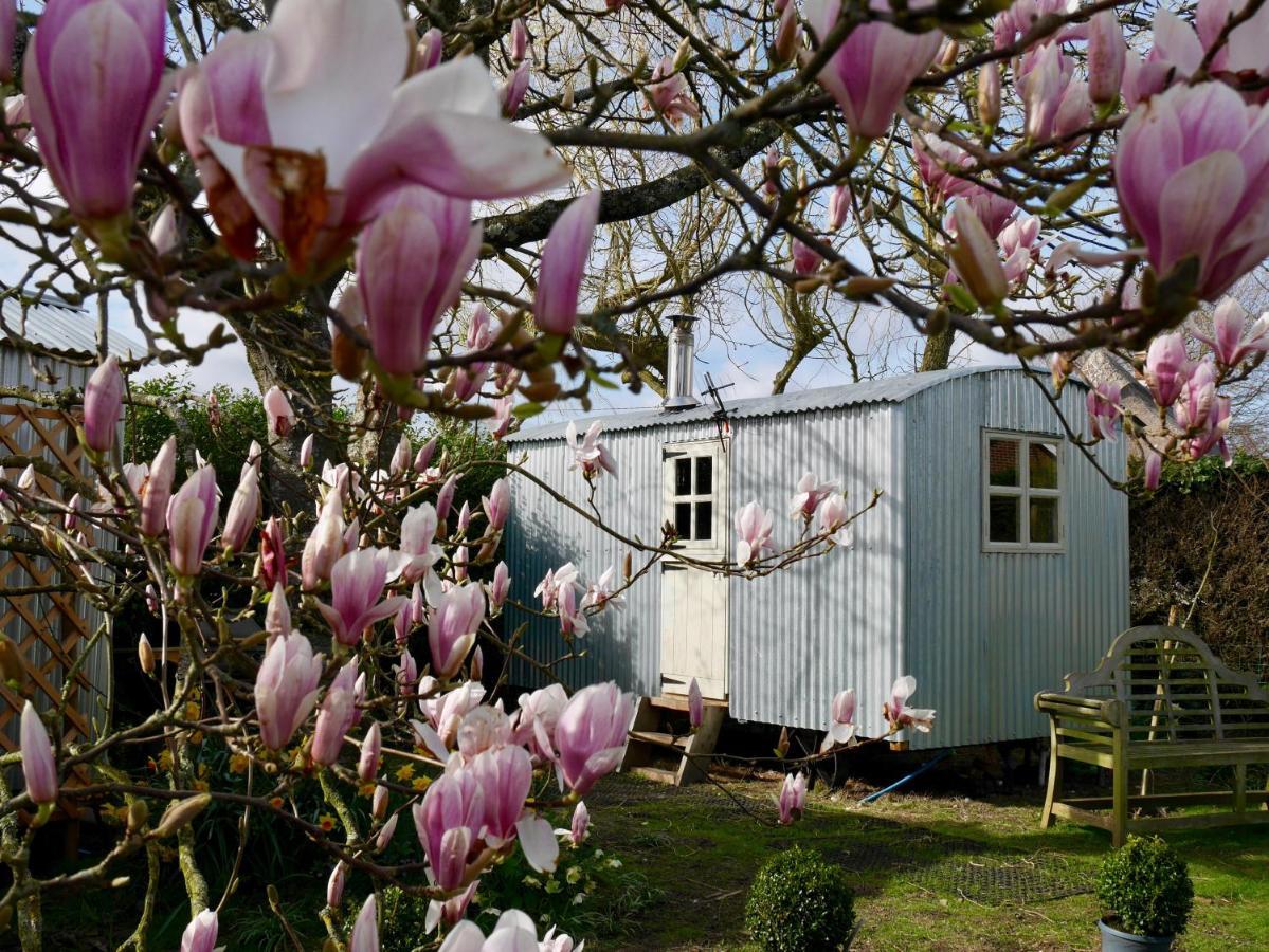The Wayside Shepherd Hut ボーリュー エクステリア 写真