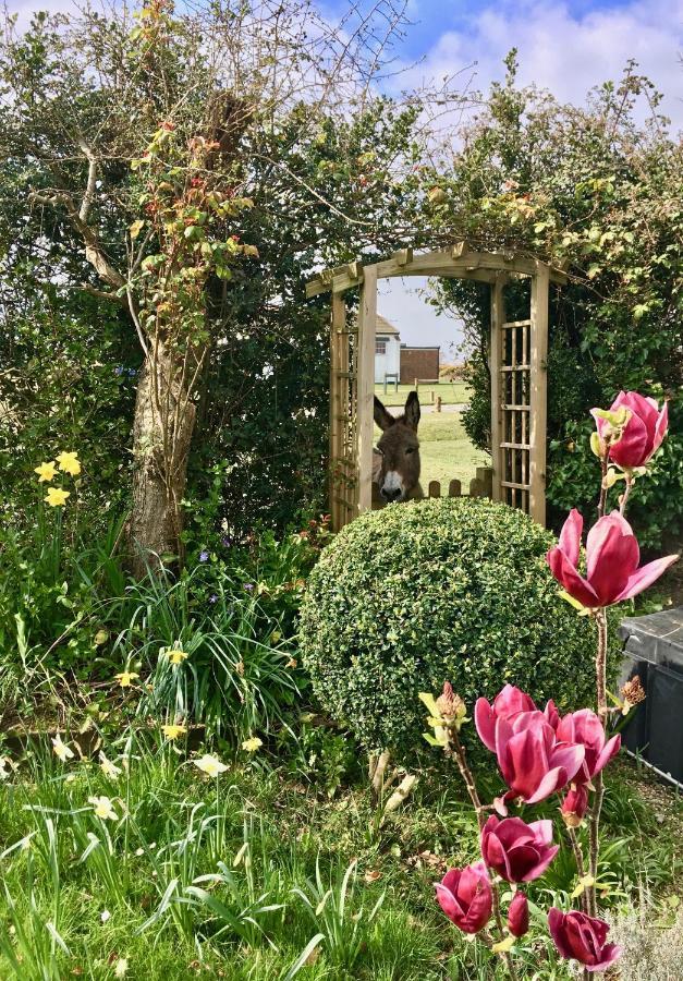 The Wayside Shepherd Hut ボーリュー エクステリア 写真
