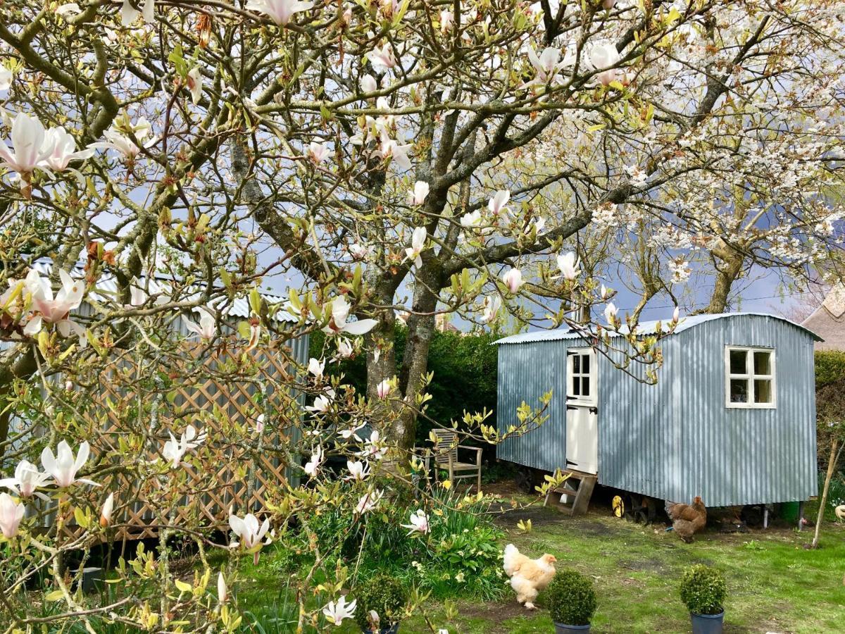 The Wayside Shepherd Hut ボーリュー エクステリア 写真