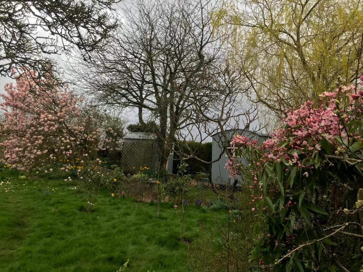 The Wayside Shepherd Hut ボーリュー エクステリア 写真