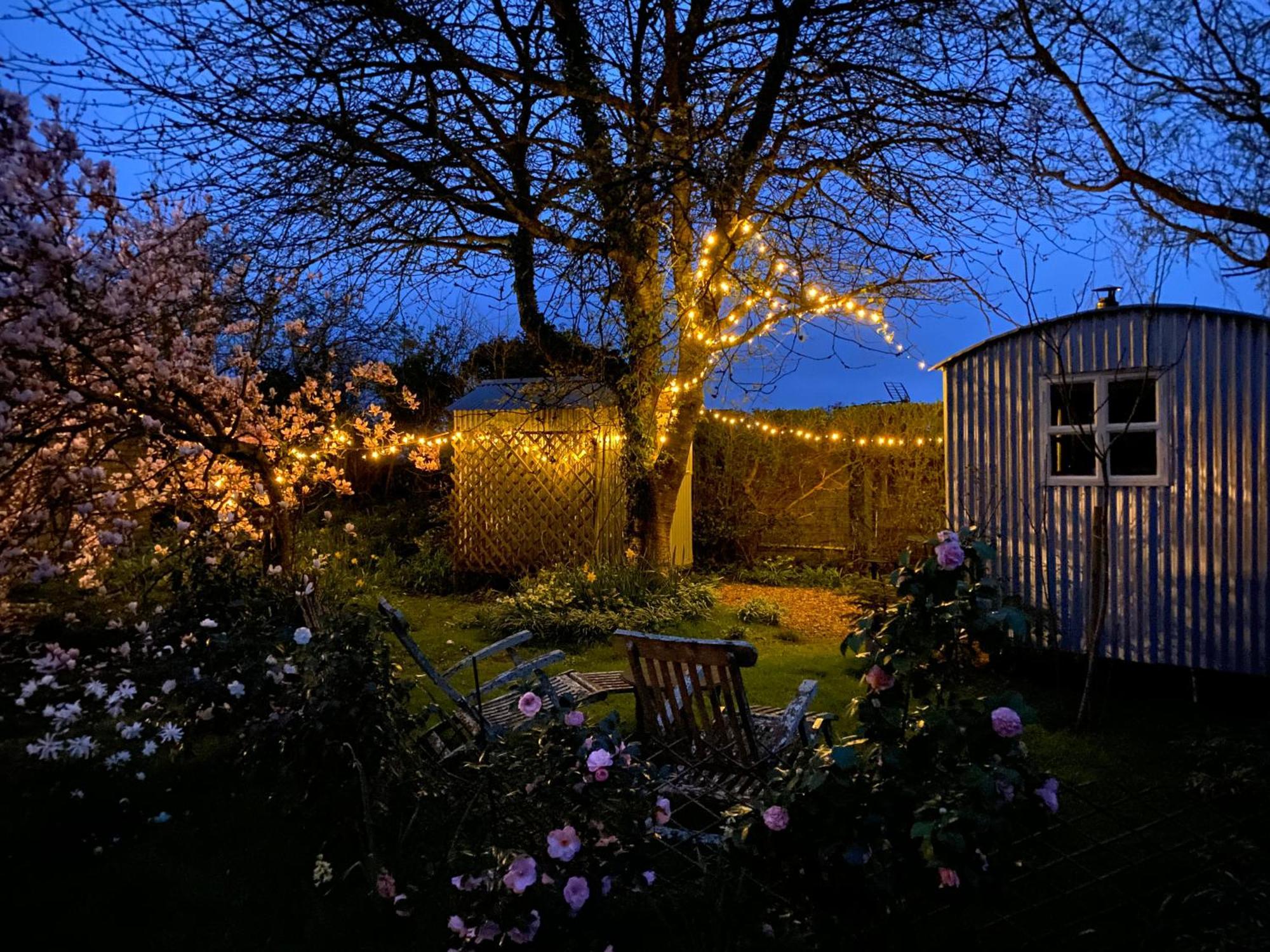 The Wayside Shepherd Hut ボーリュー エクステリア 写真